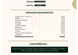 Accesorios - MELCHIADE COFFEE